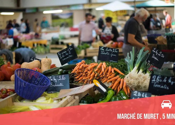 Apartment Balcon Nature  Terrasse - Tv - Fibre